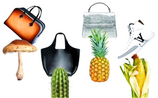 Bio-based leather: Using Plant Power to Create Breathable Environmentally Friendly Leather