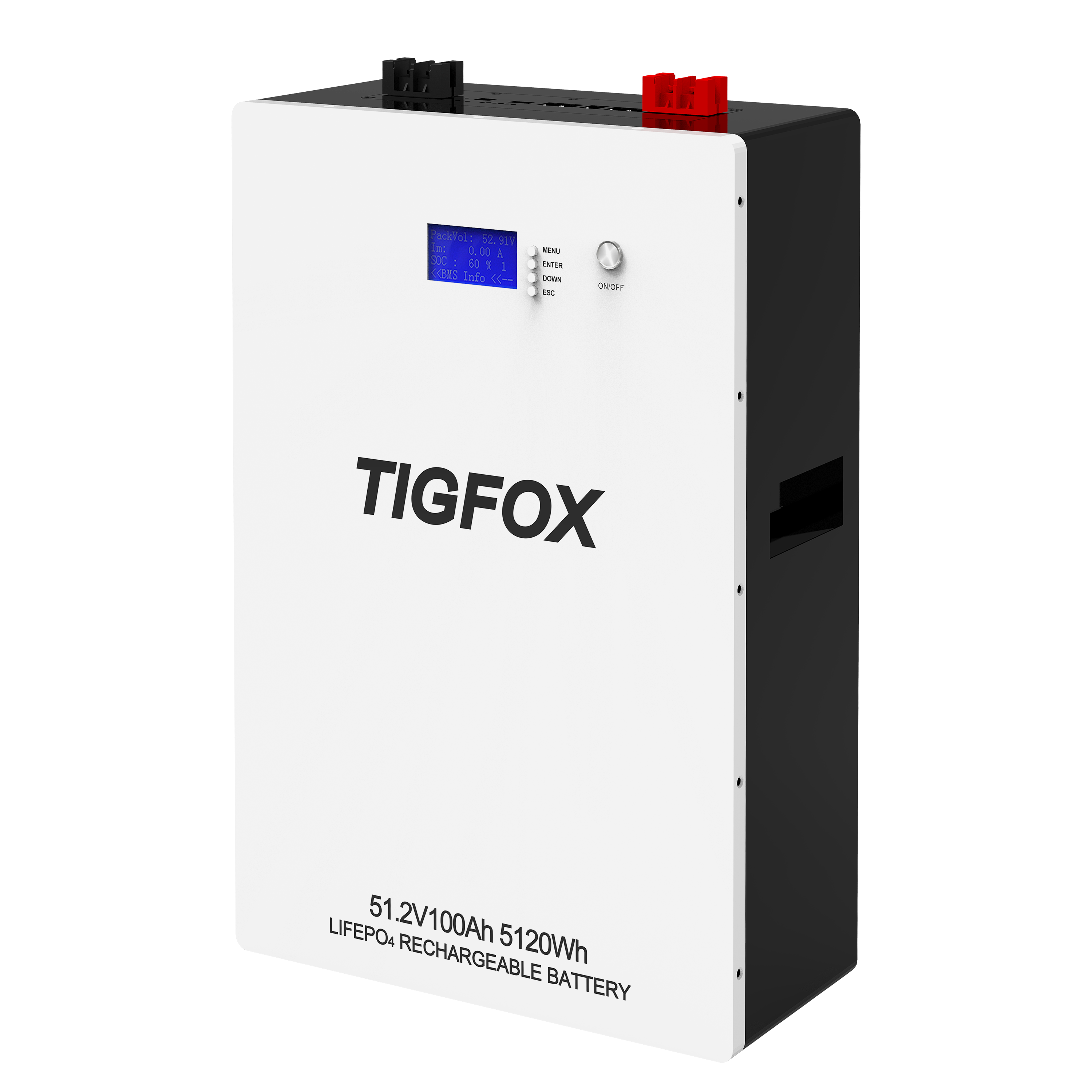 TB5120 Wall Mounted Battery 51.2V100AH 5.12KWh