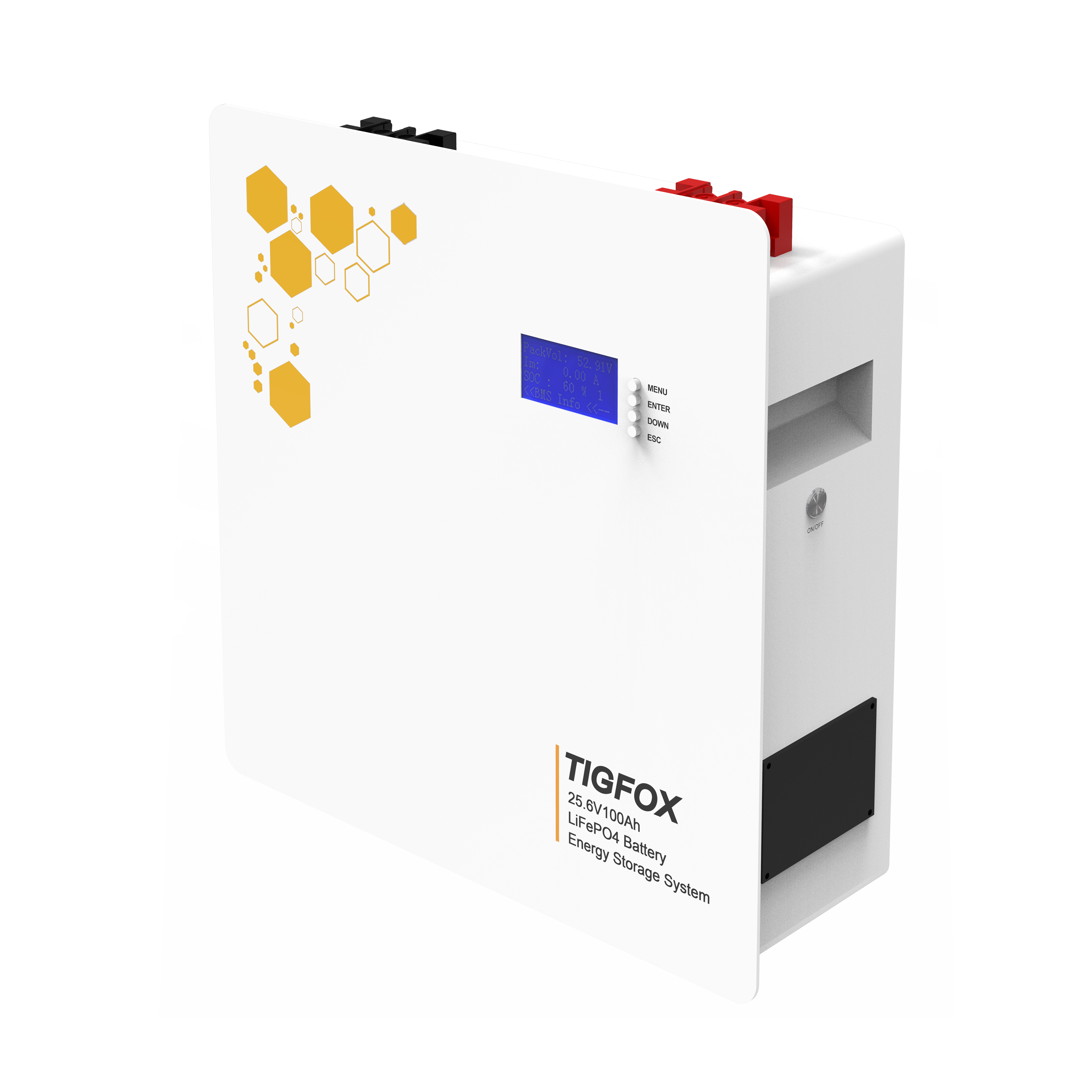 TB2560 Wall Mounted Battery 25.6V100AH 2.56KWh