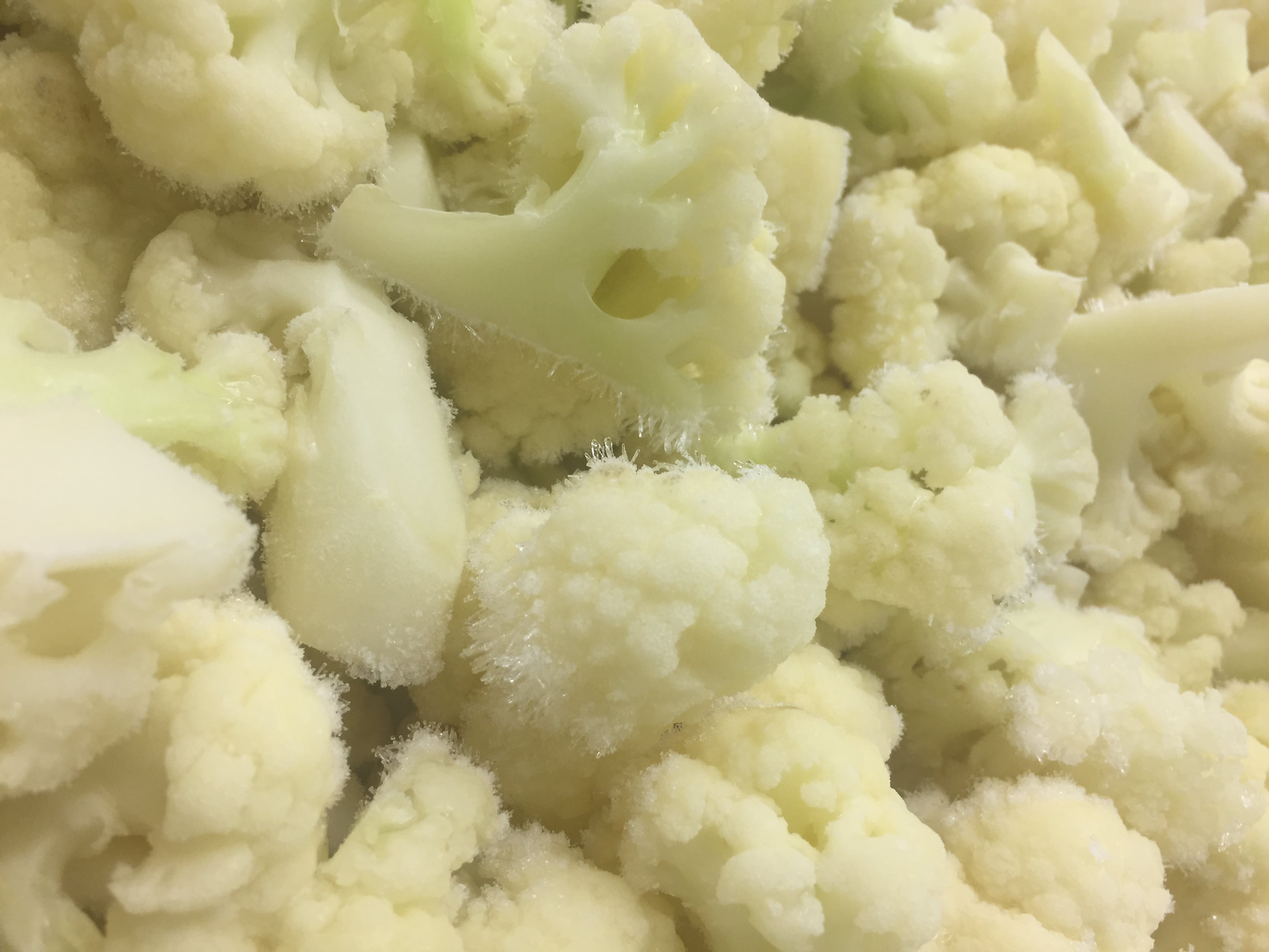 Which Frozen Vegetables Are in High Demand for Export MarkKets