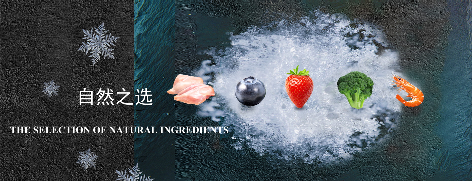 Global Frozen Food Supplier Since 2008 | Vegetables, Meat, Seafood