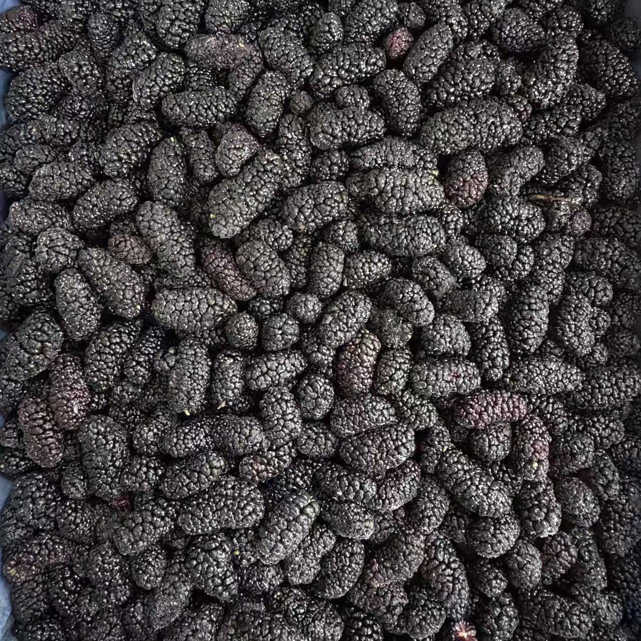 Why Sweet Dried Fruit Is Profitable for International Distributors