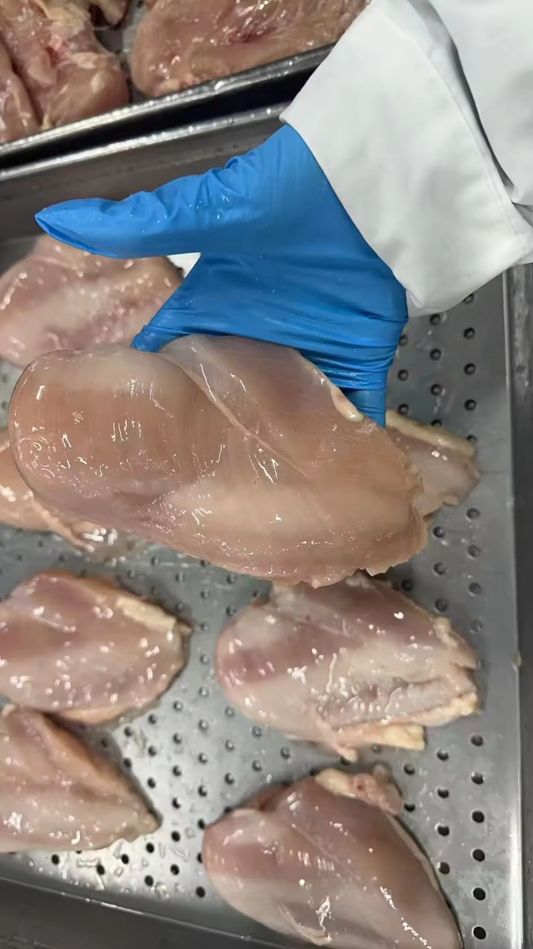 How to Select Trusted Frozen Poultry Exporters for Bulk Orders