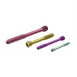 Geasure Cannulated Screws with Anti Loosening Feature Ensuring Fixation Stability