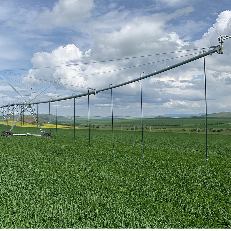 Benefits of using linear irrigation systems for large-scale farming