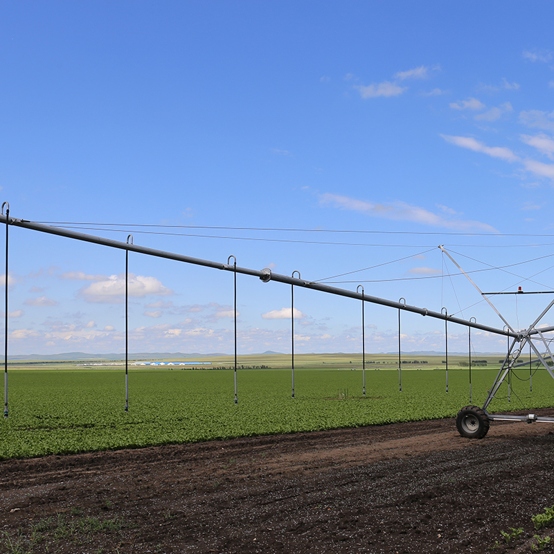 Comparaison du coût des systèmes d'irrigation par pivot central avec d'autres méthodes
