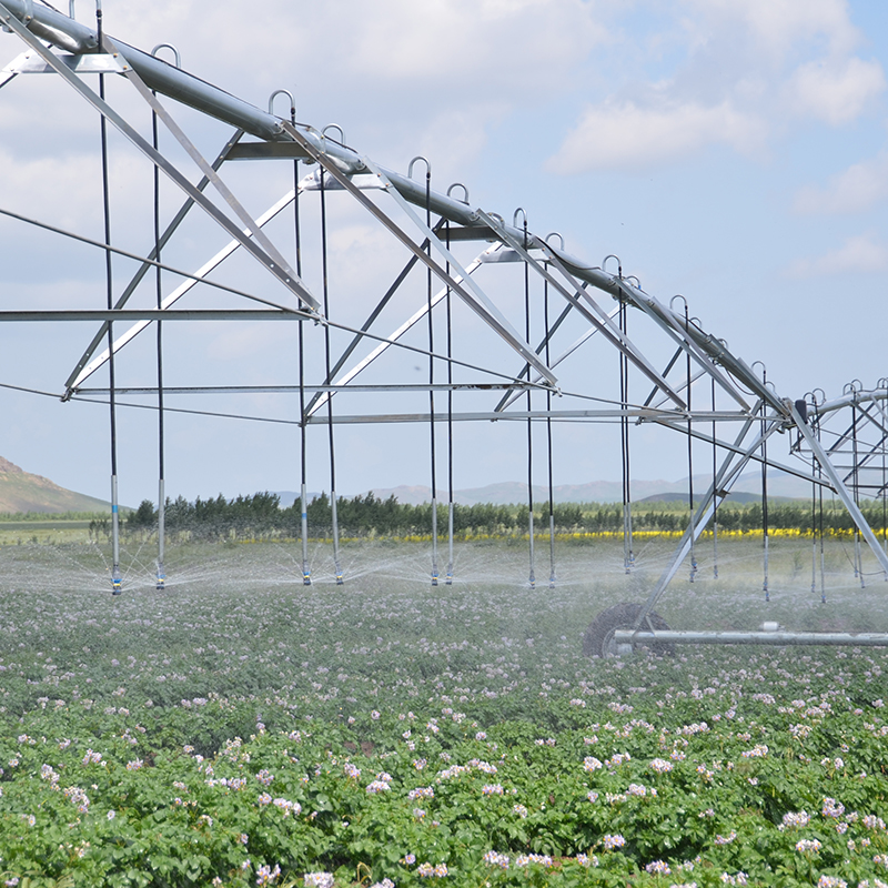 Precision watering technology for sustainable farming practices