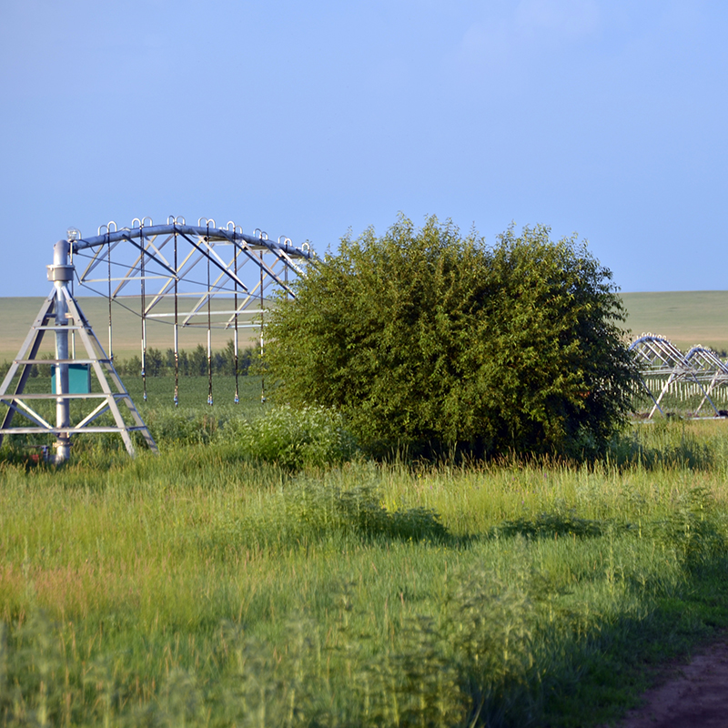 Africa's Agricultural Mechanization Wave: Irrigation Equipment Market Opportunities 2026-2030