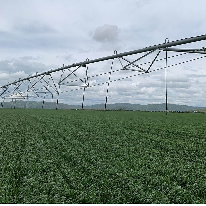 Reducing water usage and costs with solar powered irrigation