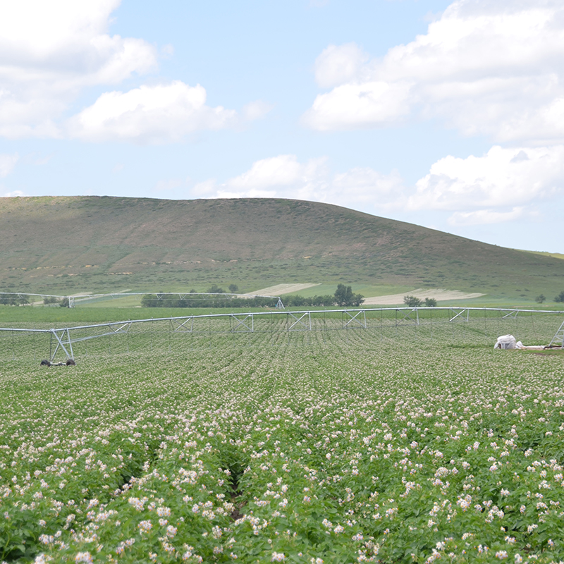 Enhancing crop health and growth with center point irrigation systems