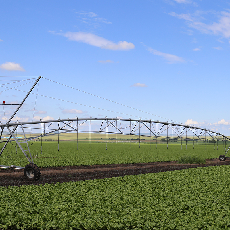 Consulting with experts to determine the total cost of a pivot irrigation system