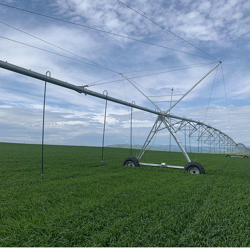 Automated solutions for optimal water management in agriculture