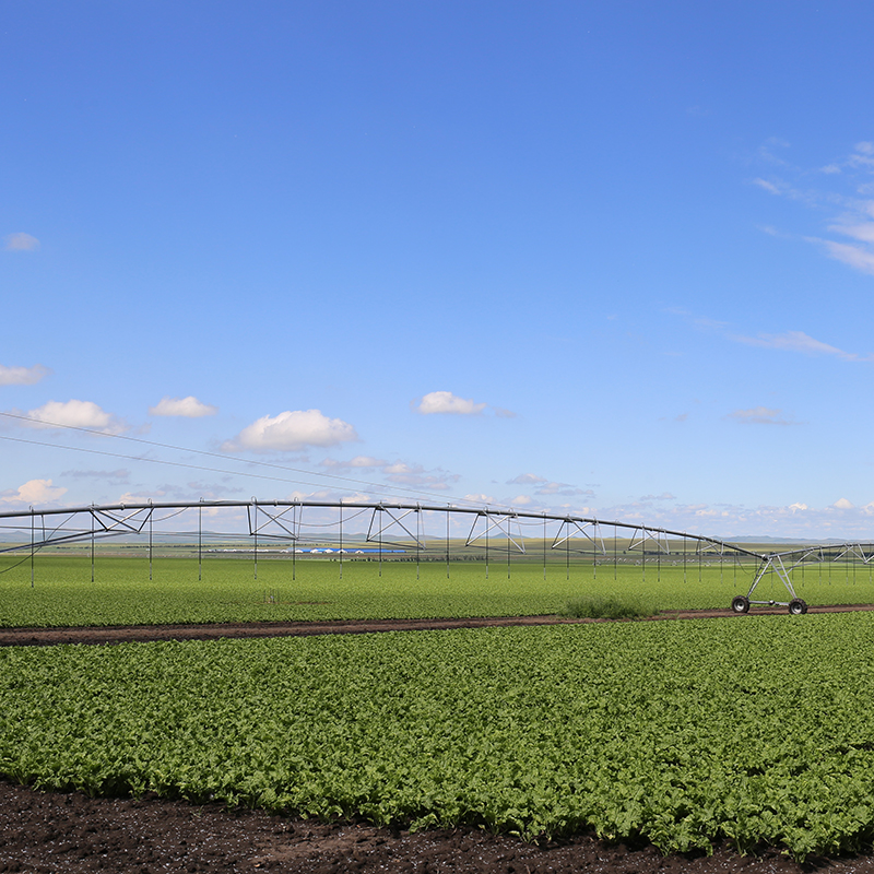 Embracing Pivot watering Systems for Increased Productivity and Sustainability