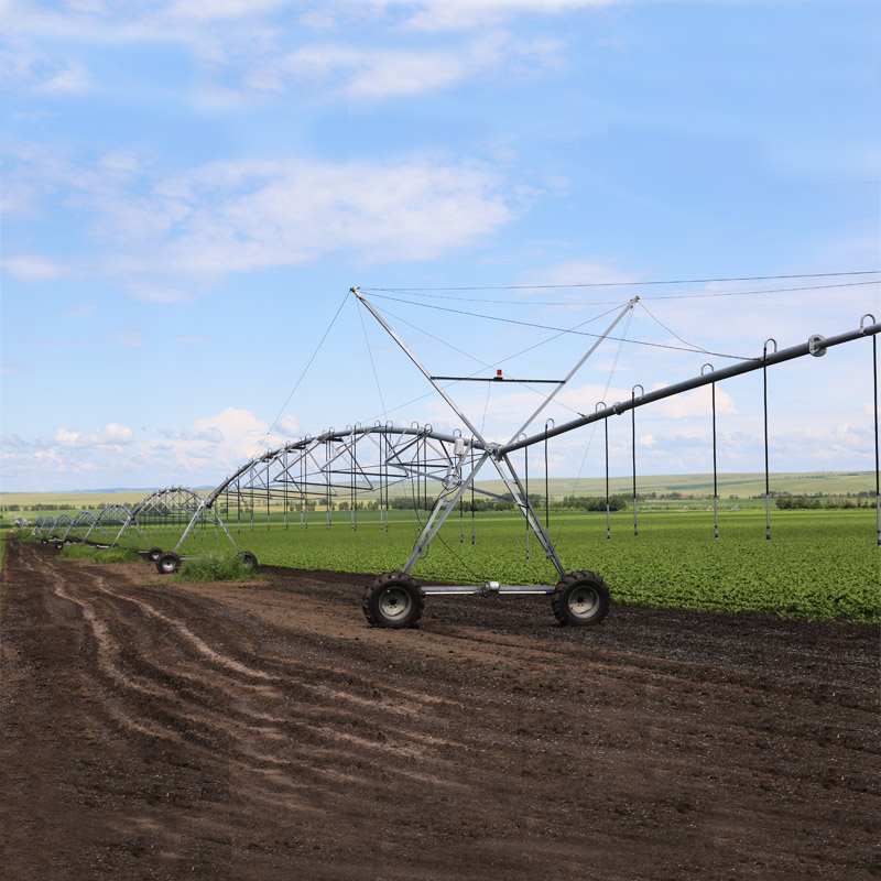 Utilizing circular irrigation for complete field coverage