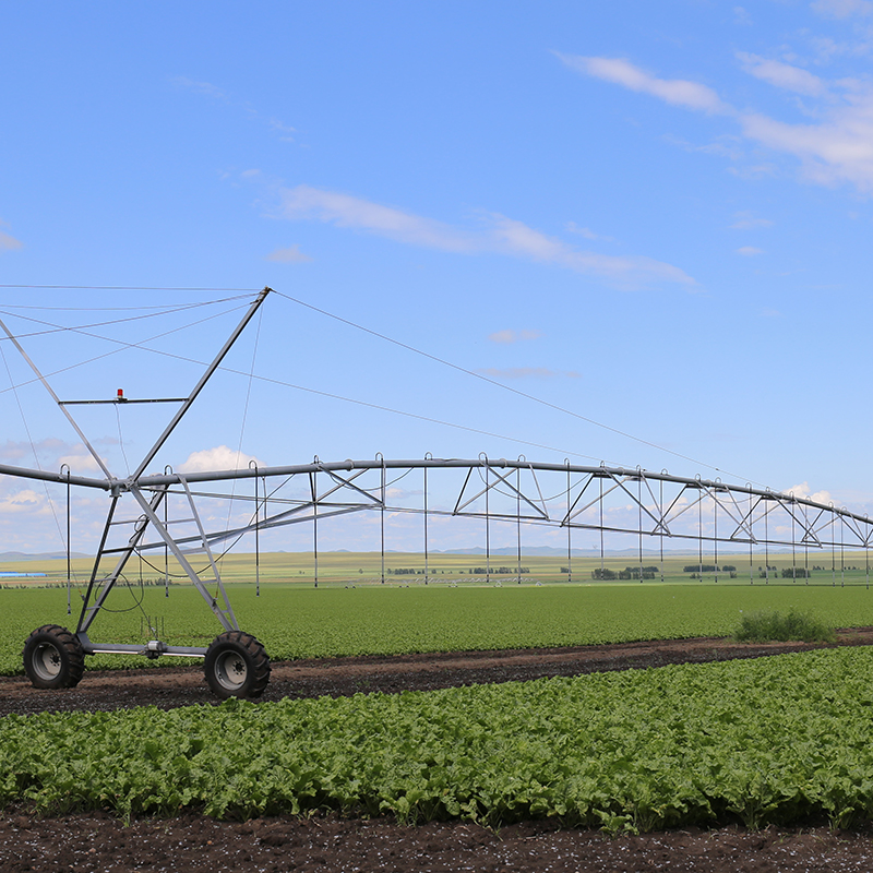 Facteurs influençant le coût des systèmes d'irrigation par pivot central