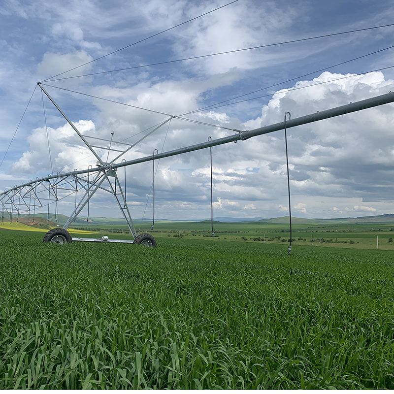 Premium Linear Move Irrigation Systems at Competitive Prices