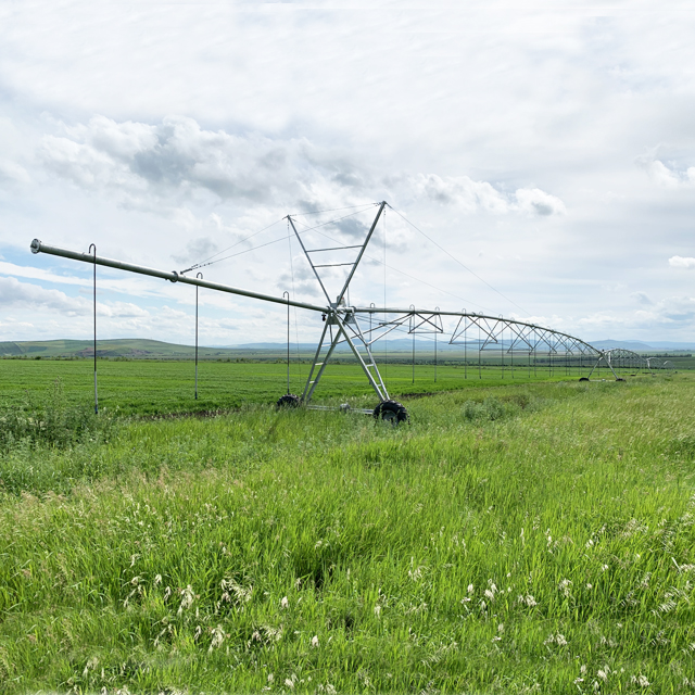 Invest in reliable irrigation equipment for your farm.
