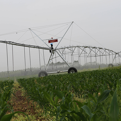 Why You Need a Mobile Sprinkler System for Your Yard