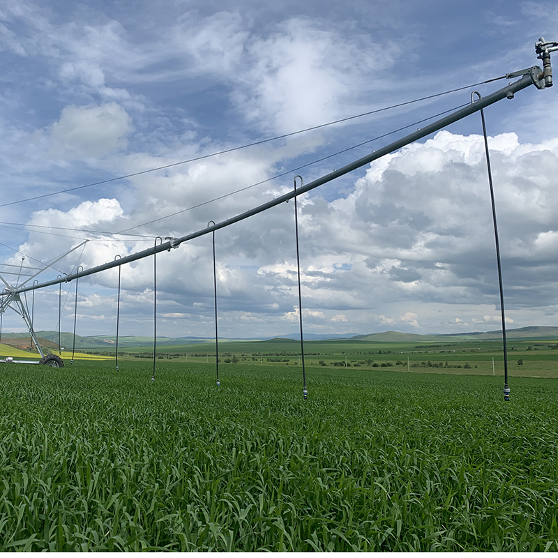 How Linear Irrigation Equipment is Revolutionizing Agriculture