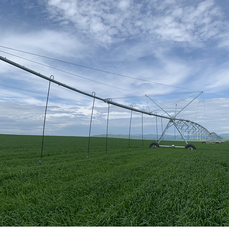 Maximizing Crop Yield with Linear Move Sprinklers