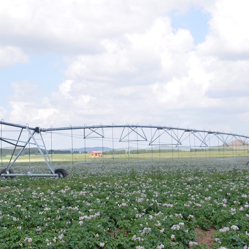 Exploring the Benefits of Center Pivot Farming Practices