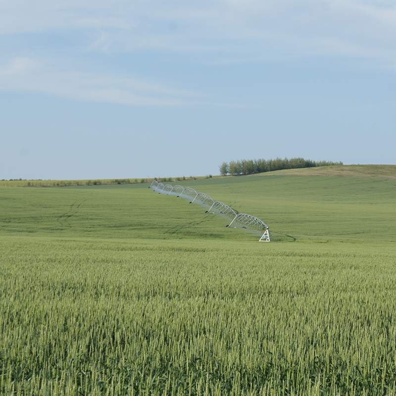 Innovative Technology for Precision Irrigation