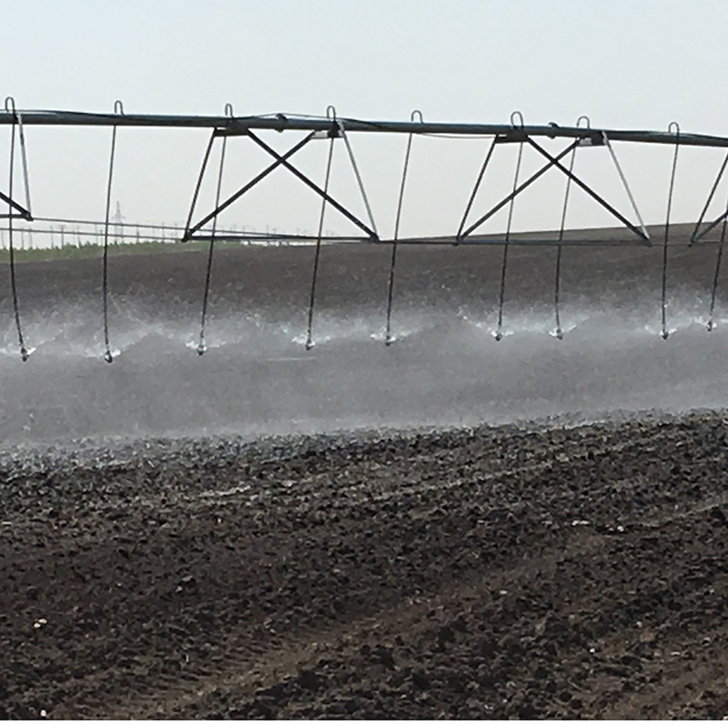 Stay Connected to Your Garden with Mobile Irrigation Solutions