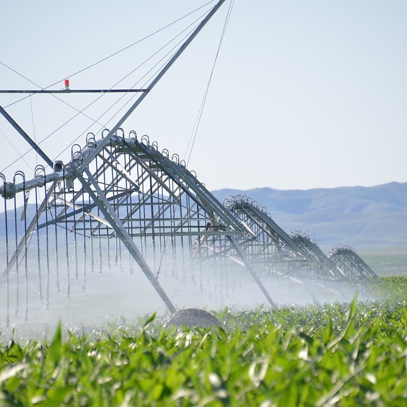 The Role of the Best Center Pivot Irrigation System in modern Agriculture