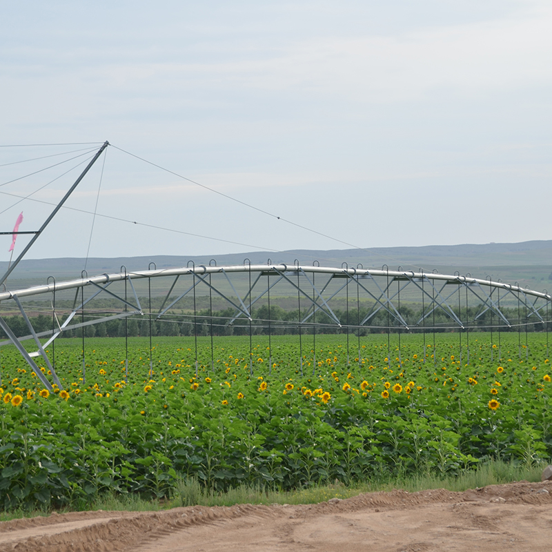 Enhancing Crop Growth with Pivot Point Systems