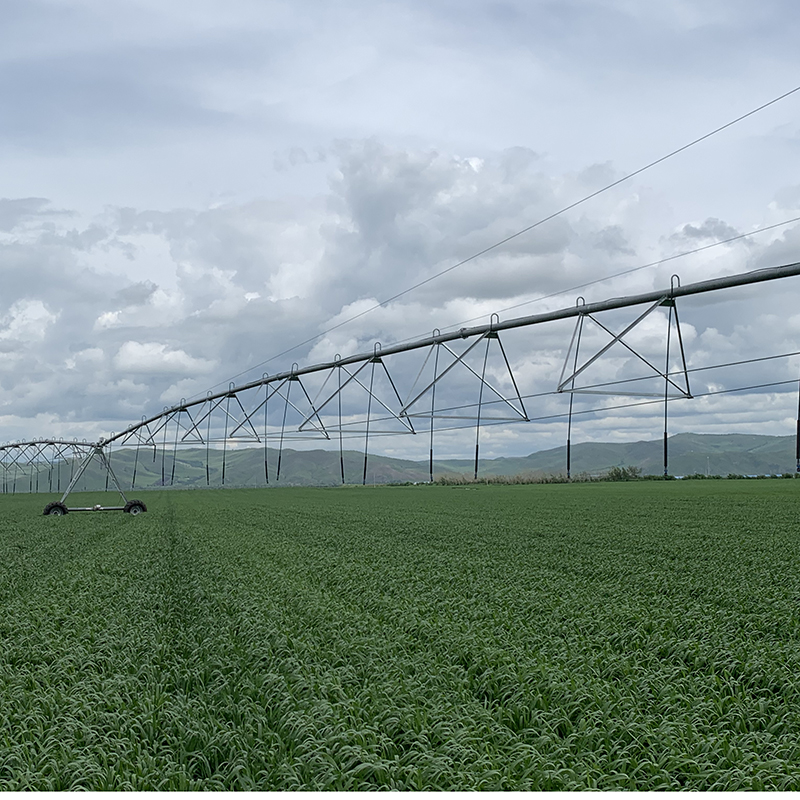 Revolutionizing Crop Irrigation with Solar-Powered Center Pivot Systems