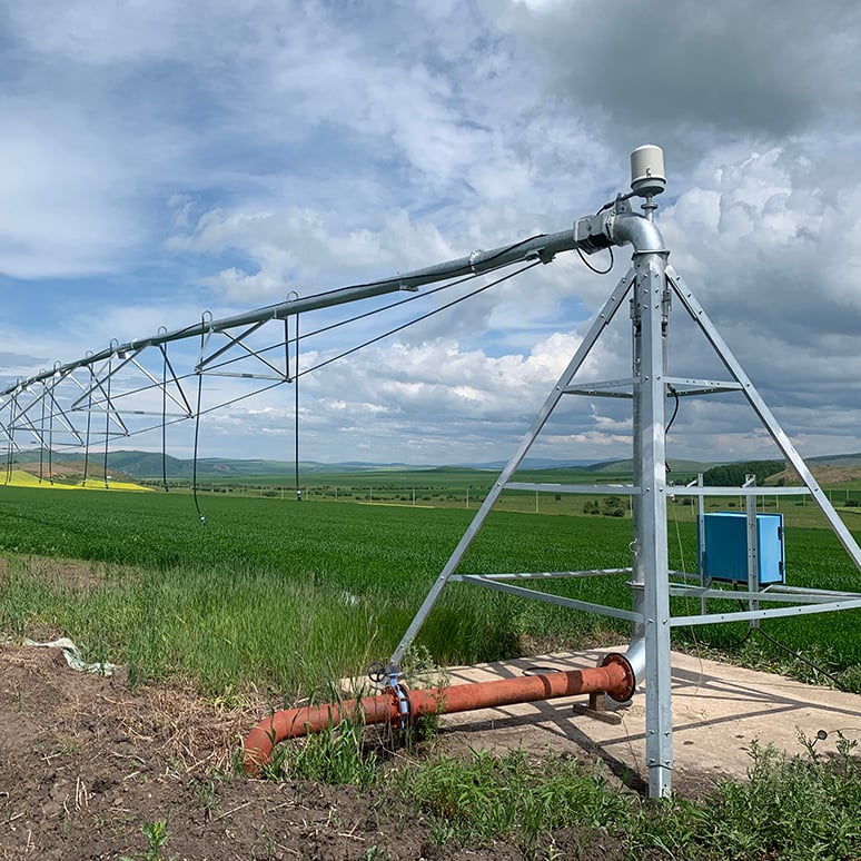 Center pivot irrigation system farm