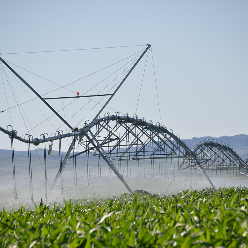 How central pivot irrigation systems work