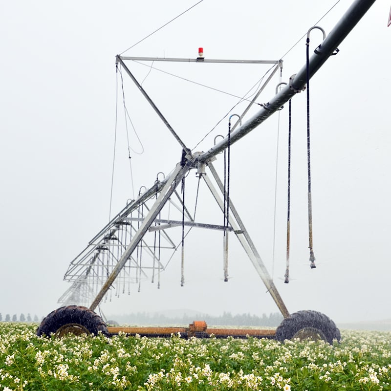 60 Hectares Custom Fixed Center Pivot Irrigation System