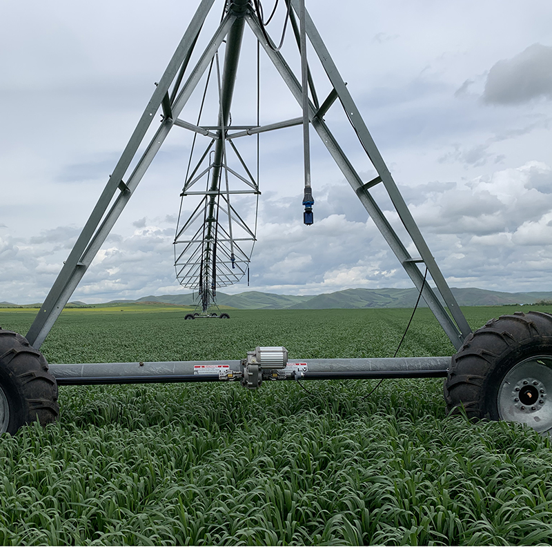 The Benefits of Solar Center Pivot Irrigation