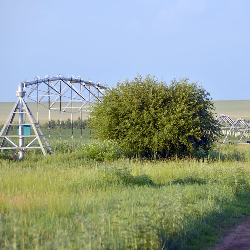 How to Choose the Right Center Pivot Irrigation System for Large-Scale Farms