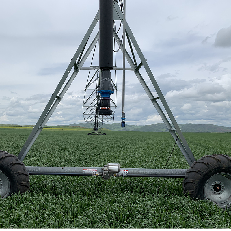 Enhancing farm productivity with automated sprinkler systems