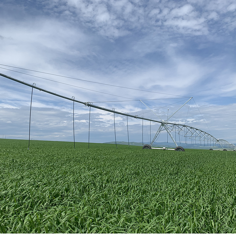 The Future of Farming with Center Pivot and Linear Move Irrigation Systems