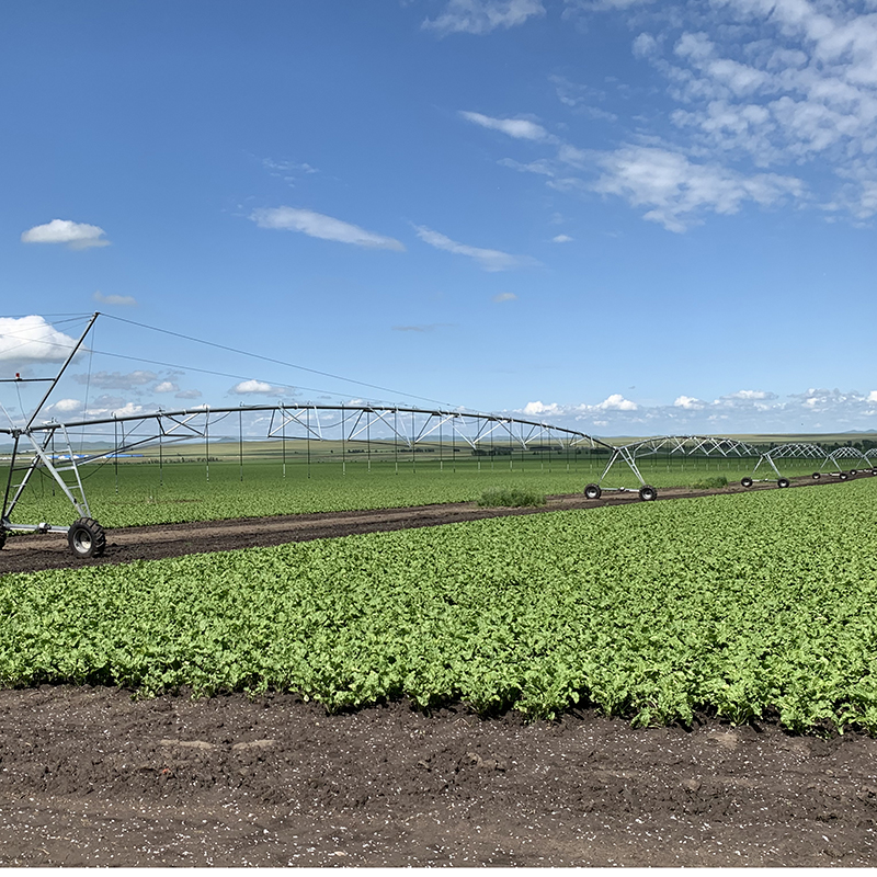 Універсальні системи Valley Lateral Move Irrigators для всіх культур