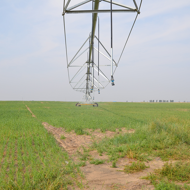 Maksimering van Opbrengste Met Sentraal Rotasie Bewatering