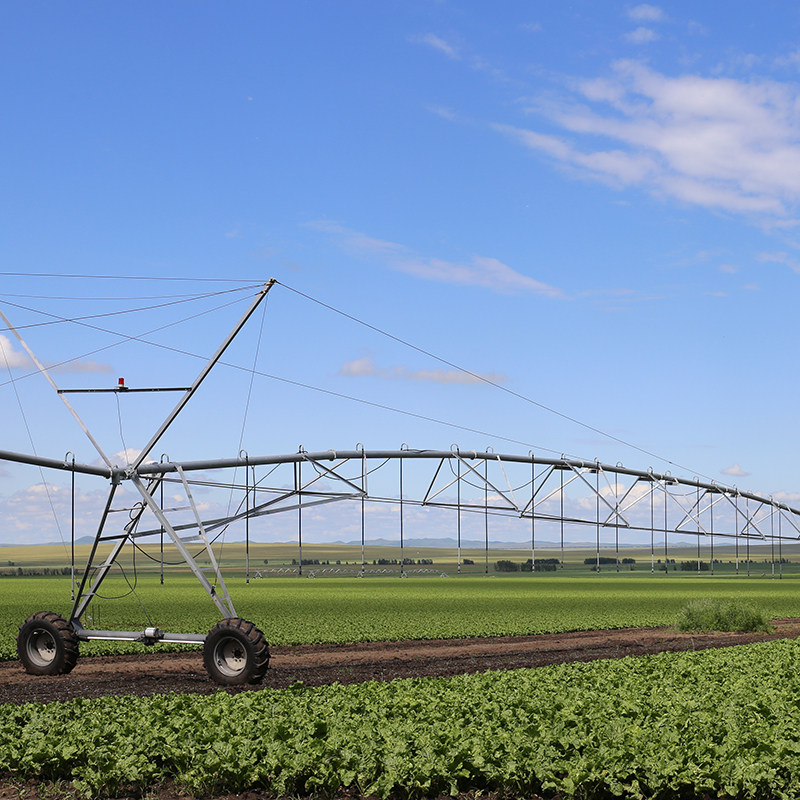 Strategies for Saving Money on Irrigation Systems