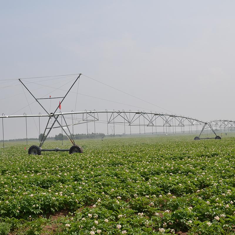 The Flexibility of Pivot Sprinkler Systems in Irrigating Various Crops