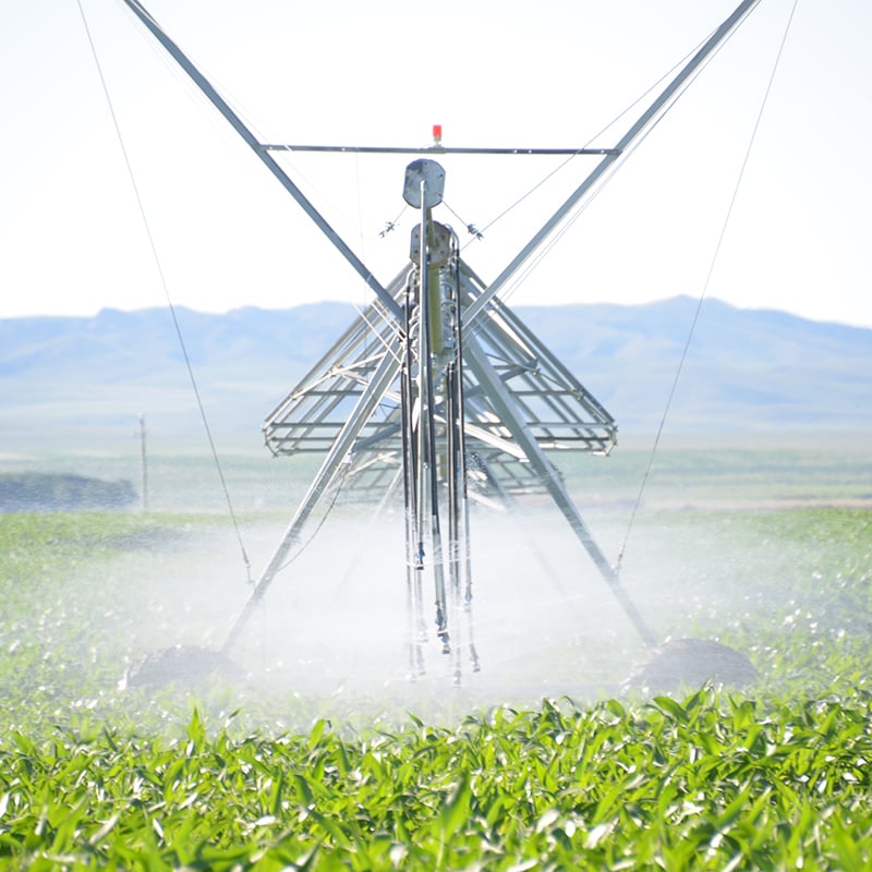 How the Best Center Pivot Irrigation System Saves Resources