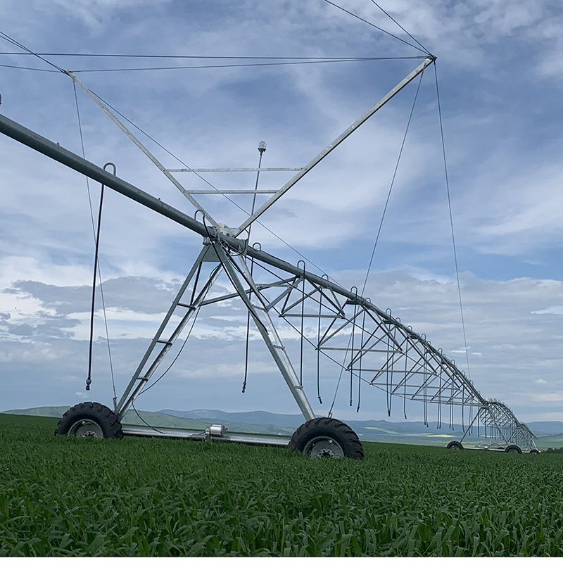 Maximizing Yields with Linear Pivot Irrigation