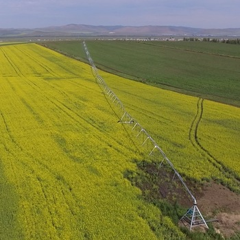 How pivot irrigation is revolutionizing crop production