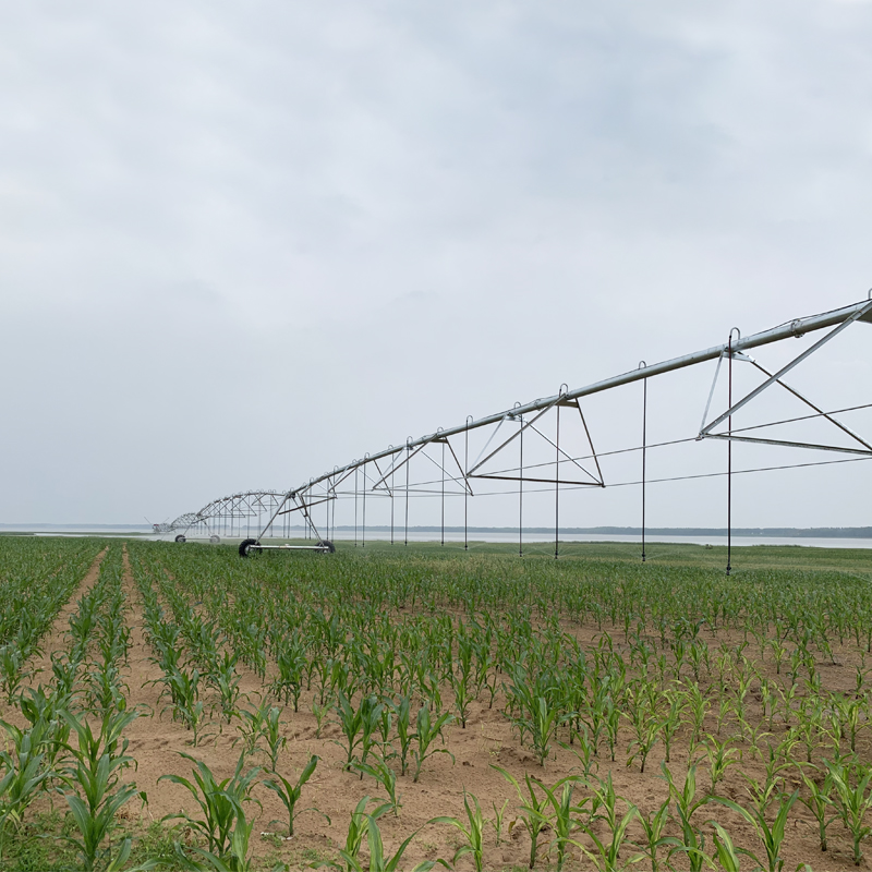 Finden Sie das perfekte Center-Pivot-Bewässerungssystem für Ihre landwirtschaftlichen Anforderungen