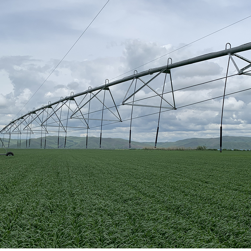 The environmental impact of switching to solar powered centre pivots in agriculture