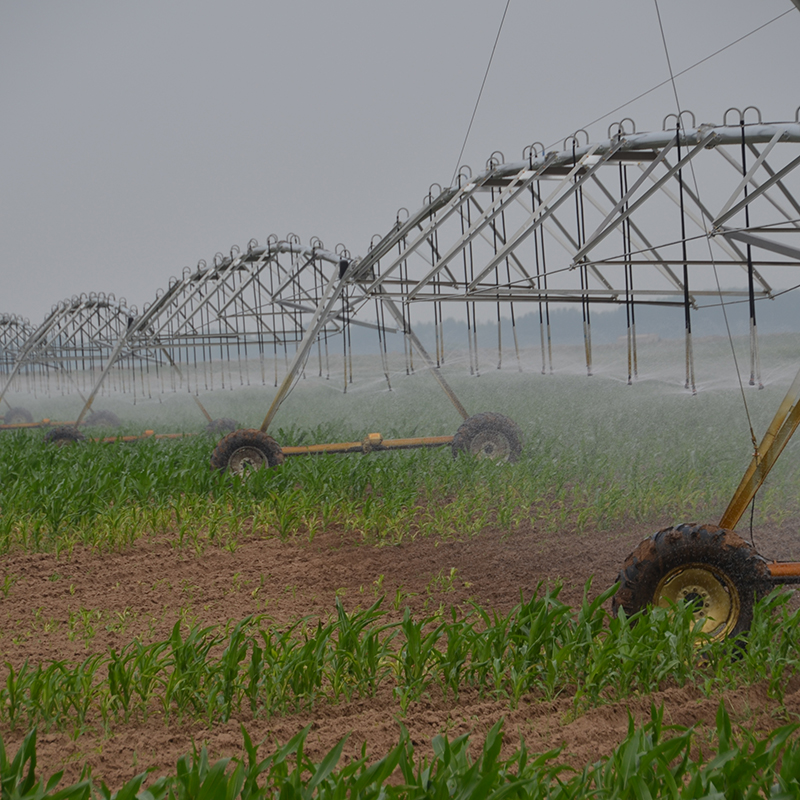 Enhancing Crop Yield and Water Efficiency with Linear Move Irrigation