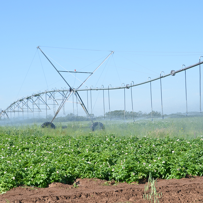 Modernisation de l'agriculture avec la technologie d'irrigation pivot