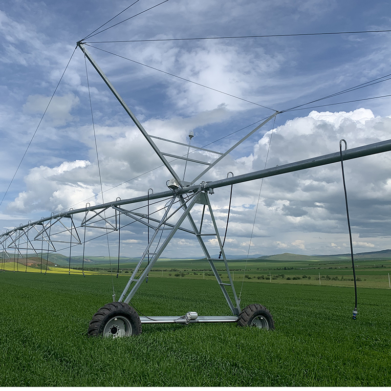 The Environmental Impact of Linear Pivot Irrigation