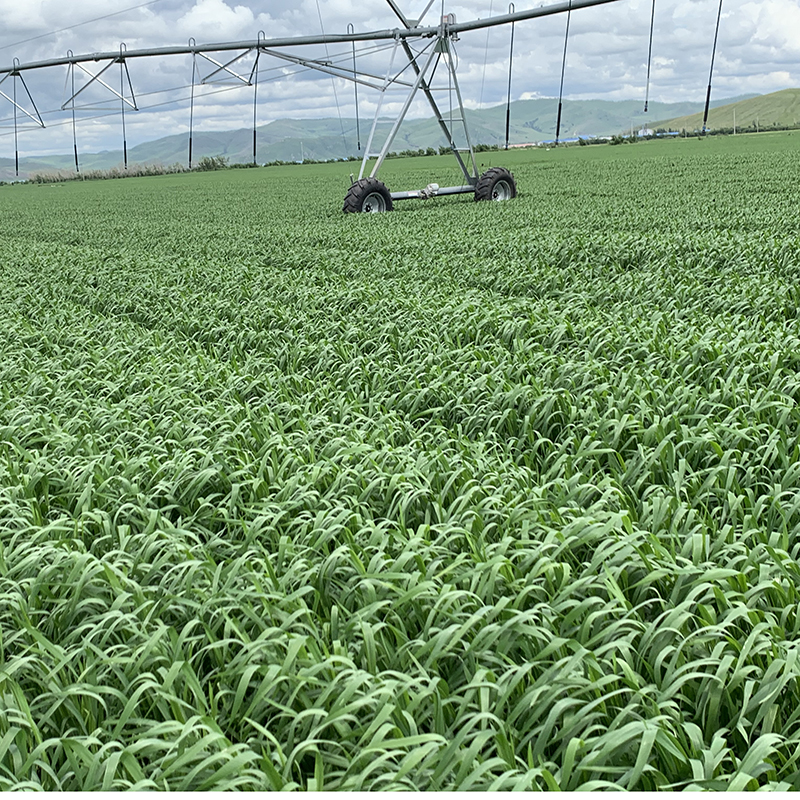 The importance of reliable center pivot pricing for farmers